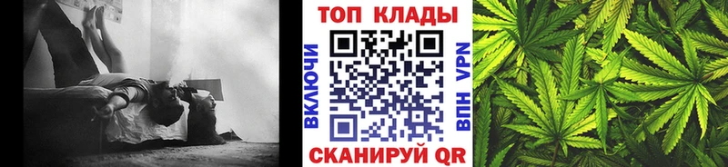 Псилоцибиновые грибы Нефтегорск