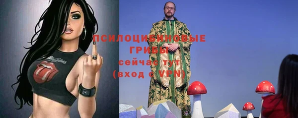 трава Вязьма
