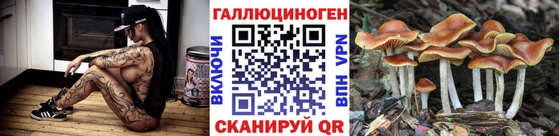Галлюциногенные грибы Psilocybine cubensis  Купить  Нефтегорск 